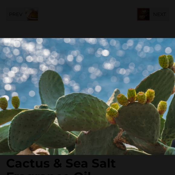 Box Of 1oz. & 2oz. Fragrance Oils For Soap & Candle Making (35 Full Bottles) - Picture 11 of 16